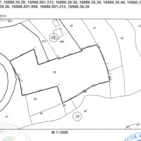 Продавам ПАРЦЕЛ с. Горно Трапе ДО ГЛАВЕН ПЪТ, снимка 5 - Парцели - 42281139