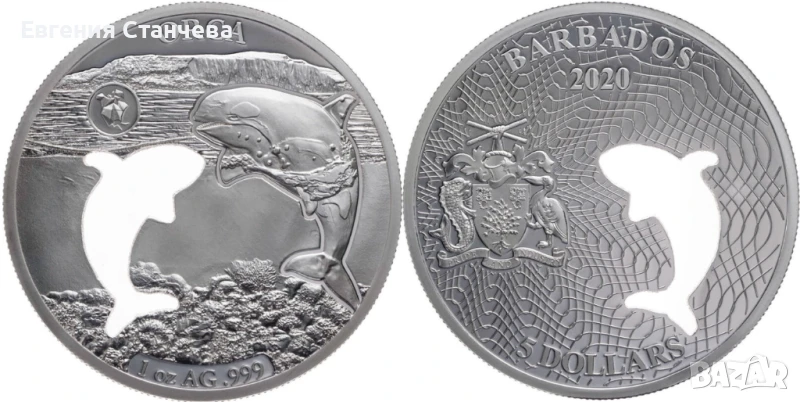 инвестиционна сребърна монета кит, снимка 1