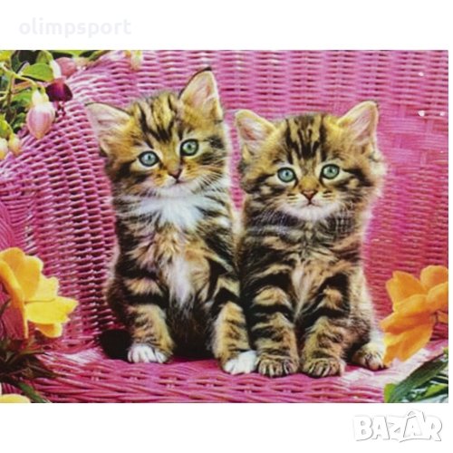 Диамантен пъзел мозайка с размери 25х21 см(27016741), снимка 1