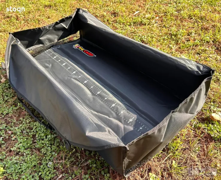 Карп дюшек , снимка 1