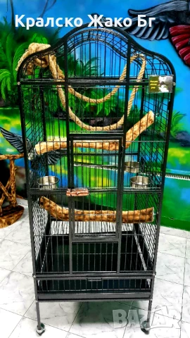 Волиера за папагали Жако !, снимка 4 - За птици - 50755115