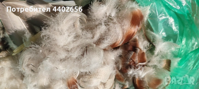 Пера от фазан и диви патици за Мухарски риболов , снимка 8 - Стръв и захранки - 49695686