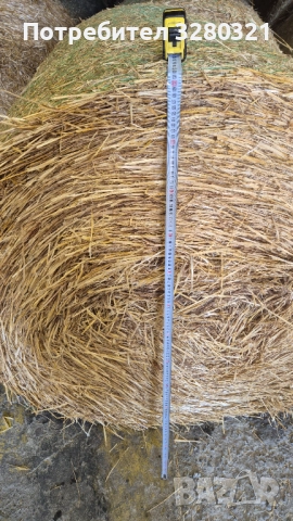 Бали ролонни Ечемик и Пшеница 2025г., снимка 2 - Коне - 52709172