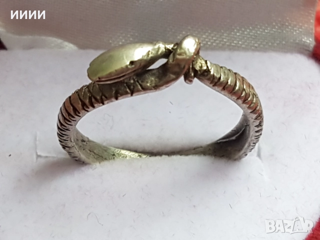 Сребърен пръстен змия