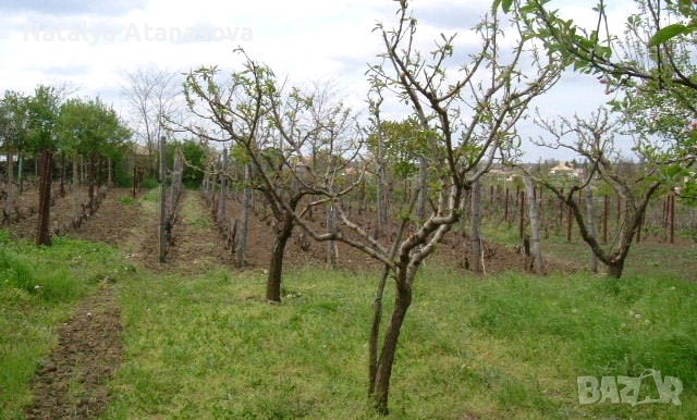 Купете новия си имот в анклава на Ведрина!, снимка 9 - Къщи - 28141058
