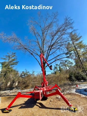 Рязане на Опасни и Високи Дървета в Цялата Страна, снимка 3 - Други - 53558879