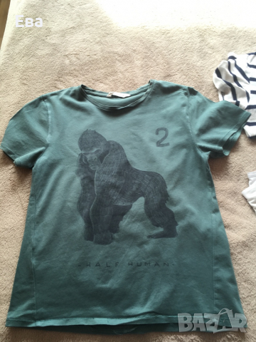 Тениски 7-8 възраст 