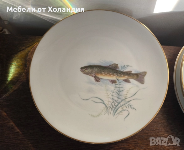 Баварски рибен сервиз, снимка 5 - Сервизи - 52825593