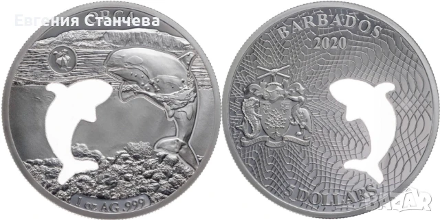 инвестиционна сребърна монета кит