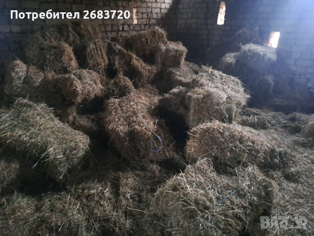 Бали сено 2.60 евро бр., снимка 2 - За селскостопански - 53120276