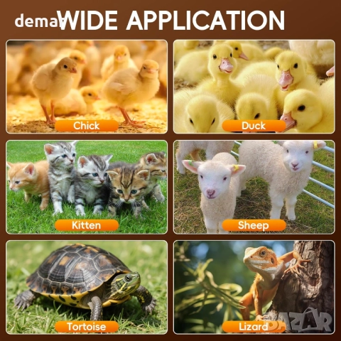 Инфрачервена термолампа с регулируема височина, 175W, снимка 3 - За птици - 52075660