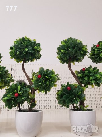 бонзай , снимка 2 - Декорация за дома - 44193181