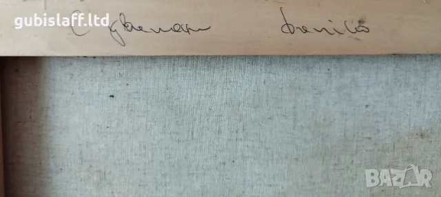 Картина, натюрморт, худ. Данаил Цонев, 2018 г., снимка 3 - Картини - 47452774