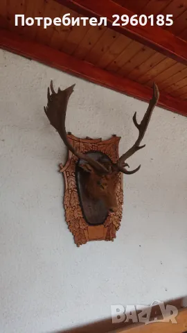 Трофей Лопатар