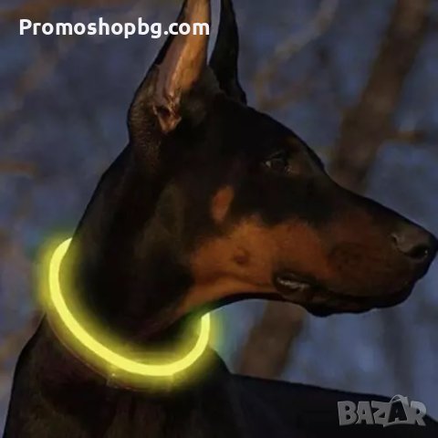 LED Нашийник Purlov, Регулируем, до 70см, Жълт, снимка 12 - За кучета - 40982315