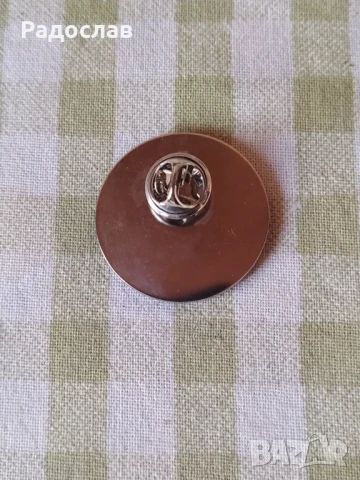 значка / пин Отличник, снимка 2 - Колекции - 50832816