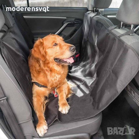 Πoĸpивaлo, пpoтeĸтop зa зaдни ceдaлĸи за домашни любимци