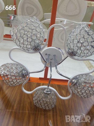 Полилей, снимка 3 - Полилеи - 41977109