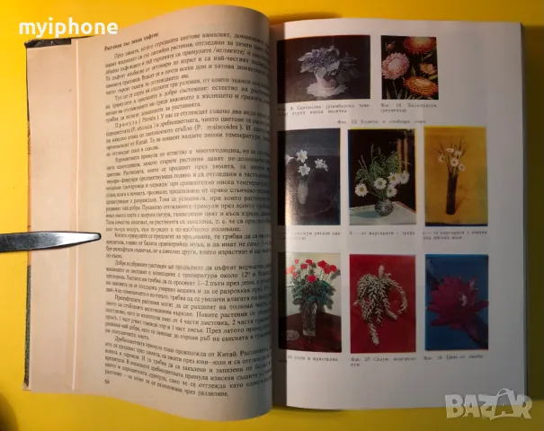 Стара Книга За Всеки Ден и Всеки Дом Домакинска Енциклопедия, снимка 4 - Специализирана литература - 49240653