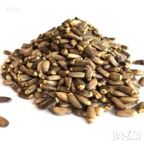 Бял трън , снимка 3 - За птици - 49476667