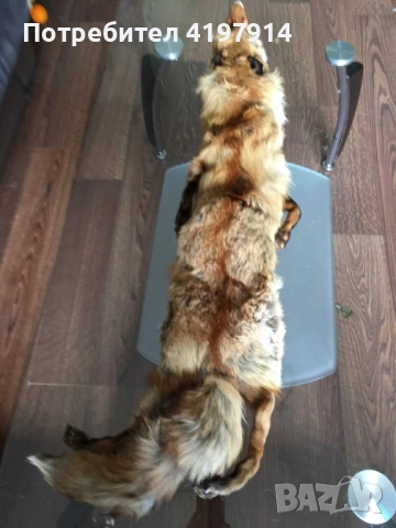 Лисича кожа, снимка 2 - Други - 51591625