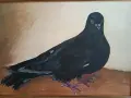 Картина масло на платно Гълъб, снимка 4