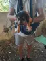 Подарявам уникални сладури.Майката е ловджийска порода.Няма да станат големи ., снимка 3