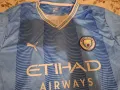 Тениска на Манчестър Сити , снимка 2