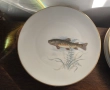 Баварски рибен сервиз, снимка 5