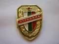 . Знак Значка ., снимка 1