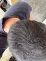 Фибри за коса (Всички цветове) - Изпитан продукт от мен - 27.5g. Hair Building Fibers (All Colors), снимка 5