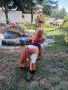 ПЛЮШЕНА ИГРАЧКА КОНЧЕ , снимка 6