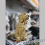 Статуя Куче от Бетон Кокер Шпаньол Градинска Фигура за Декорация, снимка 3
