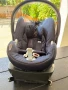 Бебешко столче за кола тип кошница Cybex Isofix, снимка 5