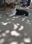 Кучето се дава само за разплод, снимка 1