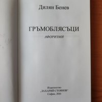 Гръмоблясъци - Дилян Бенев, снимка 3 - Художествена литература - 40319226