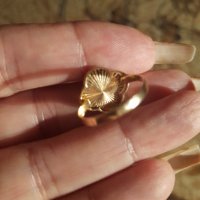 Нов златен пръстен 14К злато -СПЕШНО, снимка 3 - Пръстени - 39283179