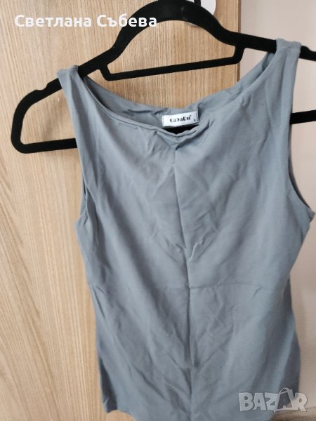 Сив потник, снимка 1