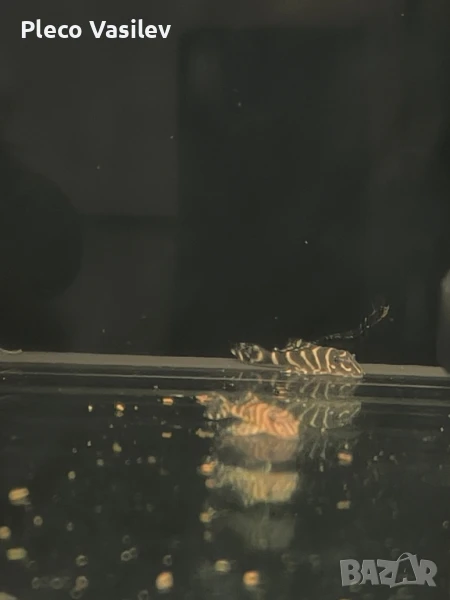 Продавам L340, снимка 1