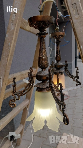 полилей два броя на цената на един. 