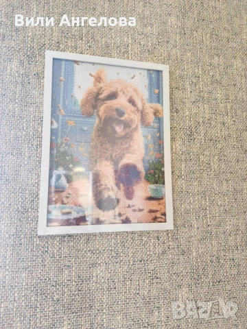 Диамантен гоблен с рамка, размер 30/40 см.