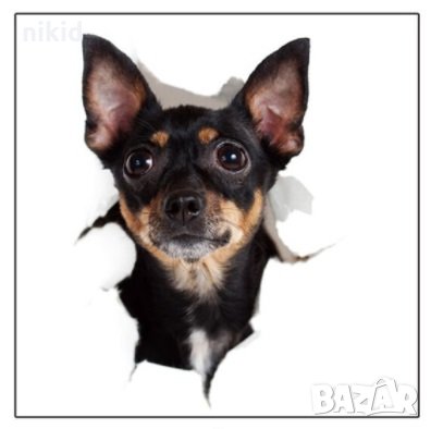 Куче Пинчер стикер лепенка за стена мебел или тоалетна чиния за капака, снимка 2 - Други - 35676438