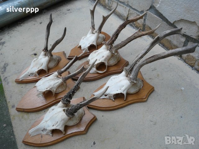 Стари немски трофейчета - 6 броя, снимка 2 - Антикварни и старинни предмети - 42214796