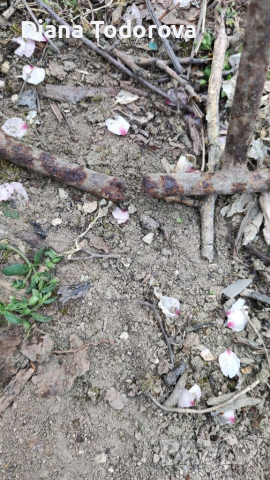 Продавам стойка желязна, снимка 4 - Други - 36299120