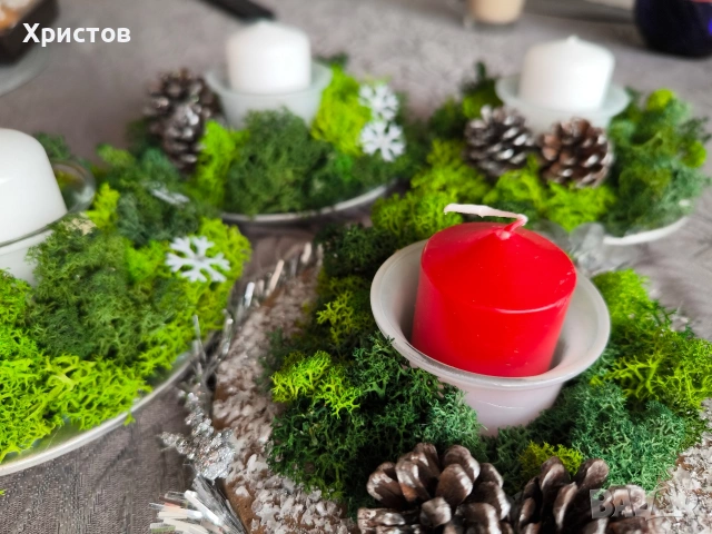 Кашпи със Скандинавски мъх , снимка 6 - Арт сувенири - 44825248