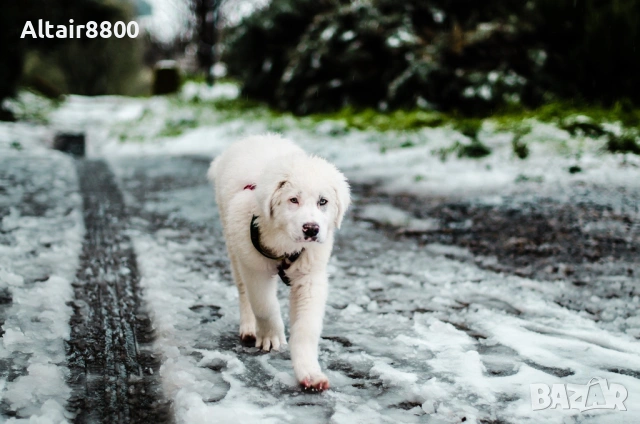 Nikon AF-S 50mm f/1.4G обектив Никон, снимка 10 - Обективи и филтри - 53566718