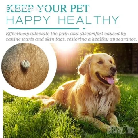 Спрей за домашни любимци за пемахване на бенки, папиломни, брадавици Yegbong, снимка 5 - За кучета - 49280618