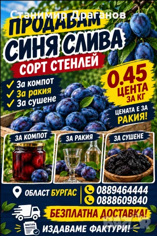 Сини сливи за ракия