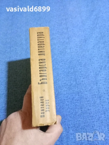 Пантелей Зарев - Българска литература , снимка 2 - Българска литература - 53516928
