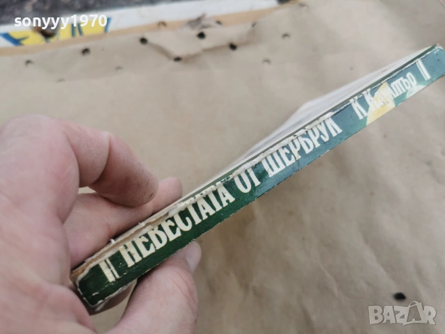НЕВЕСТАТА ОТ ШЕРБРУК 0202261619, снимка 2 - Художествена литература - 53324897